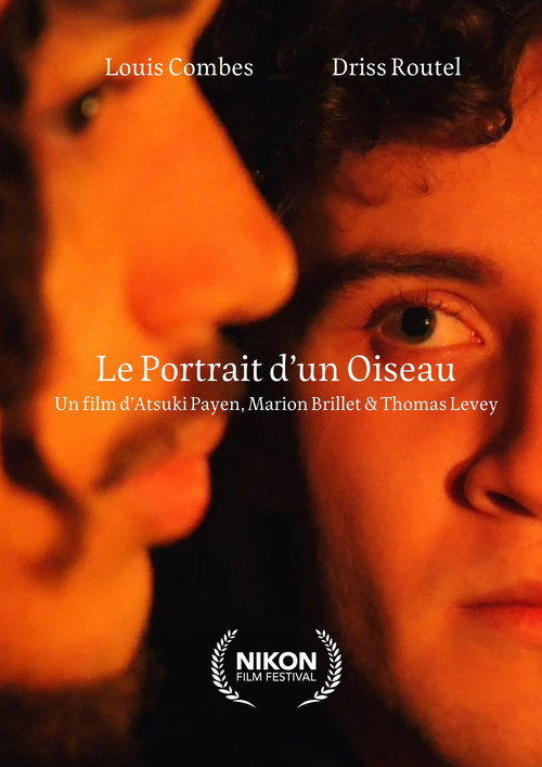 The Portrait of a Bird poster