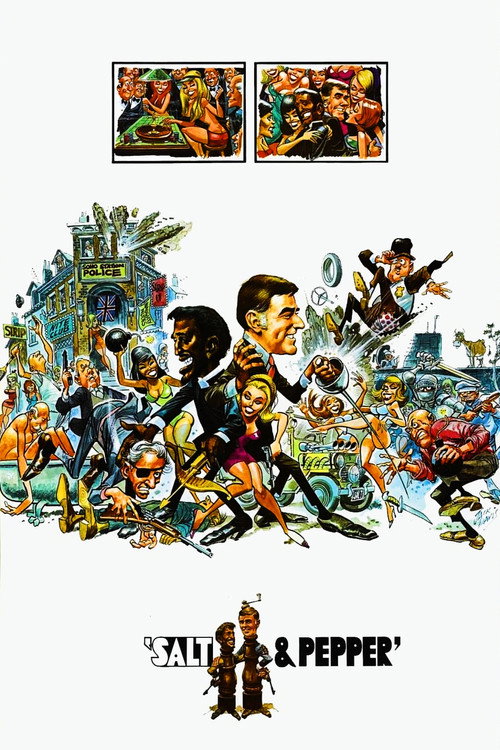 Salt & Pepper poster