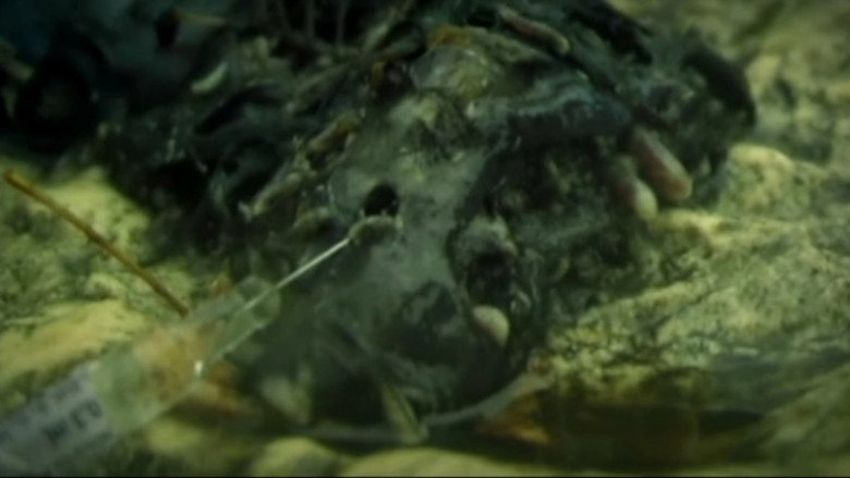 Cannibal still 5