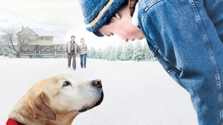 A Dog Named Christmas still 5