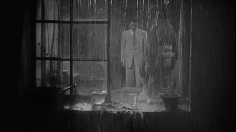 Stray Dog still 4