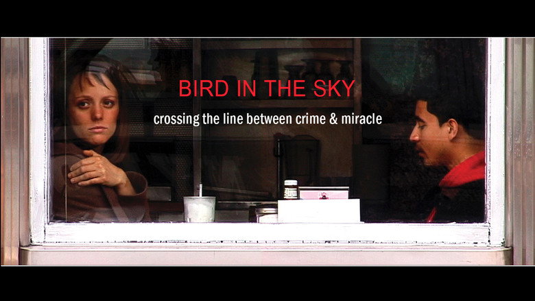 BIRD IN THE SKY still 1